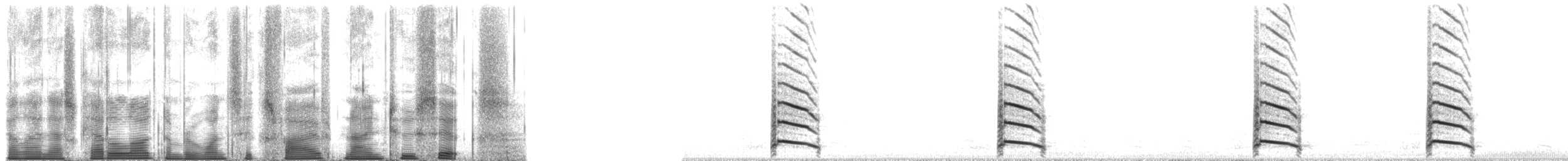 American Herring Gull - ML165926