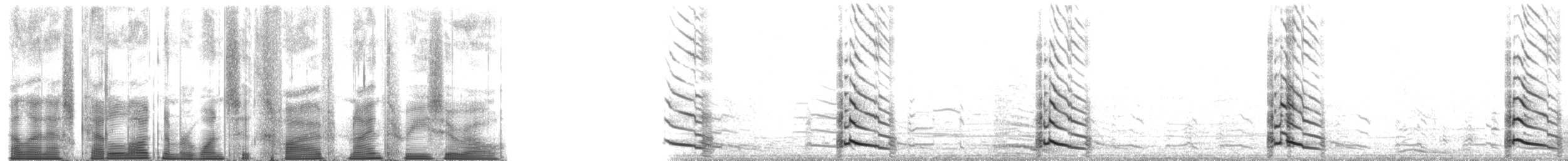 American Herring Gull - ML165930