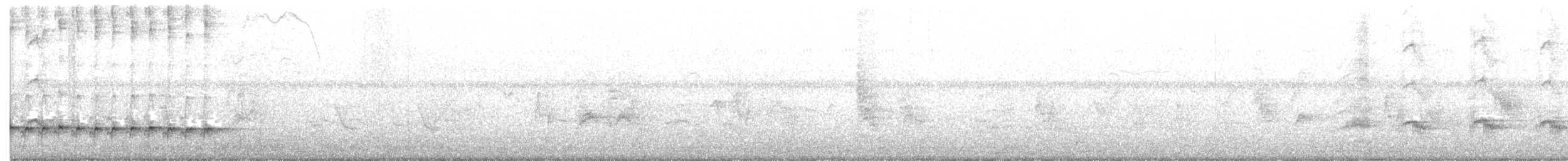 Méliphage à oreillons gris - ML165930181