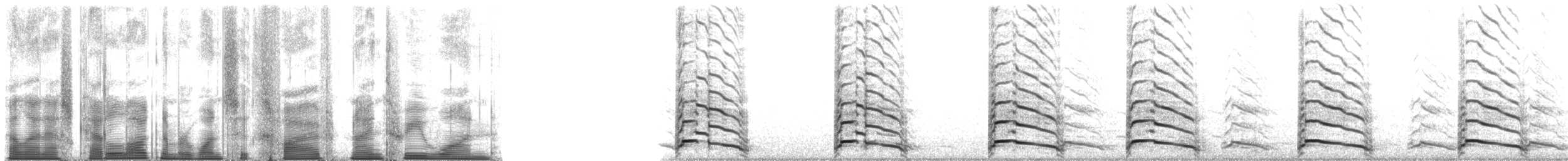 American Herring Gull - ML165931