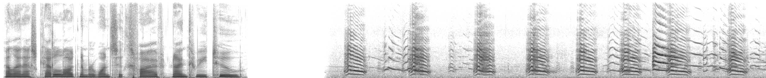 Lesser Black-backed Gull - ML165932