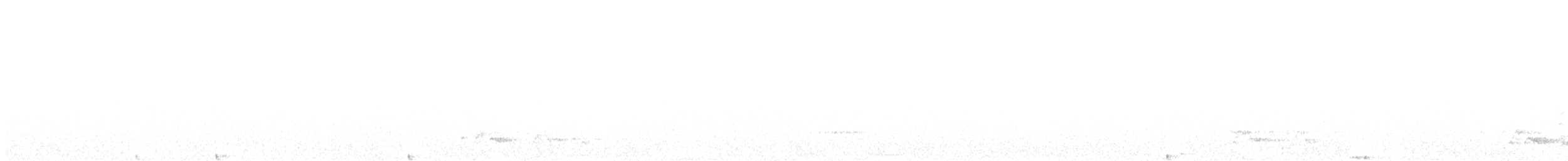 Carolinanachtschwalbe - ML165938891