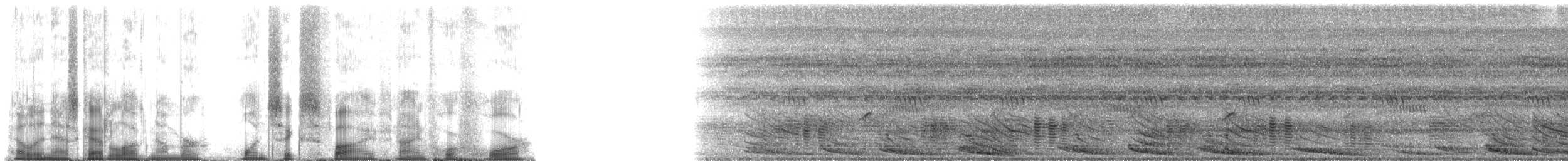 Túngara Frog - ML165944