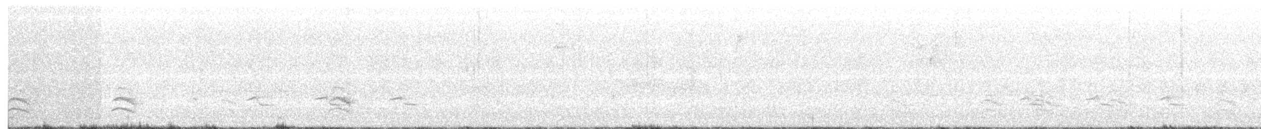 Weißbrustkleiber - ML165948041