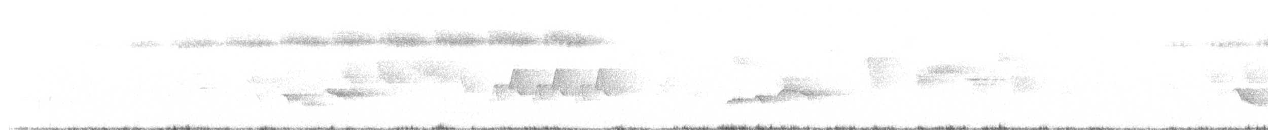 Широкохвістка далекосхідна - ML165951971