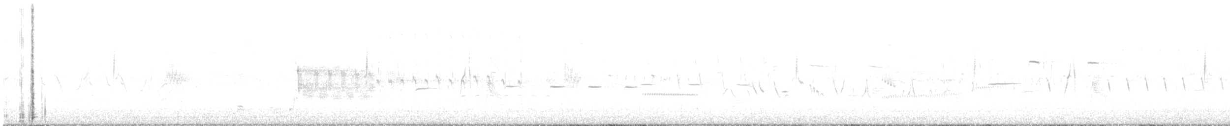 Піві-малюк вербовий (підвид traillii) - ML165953021