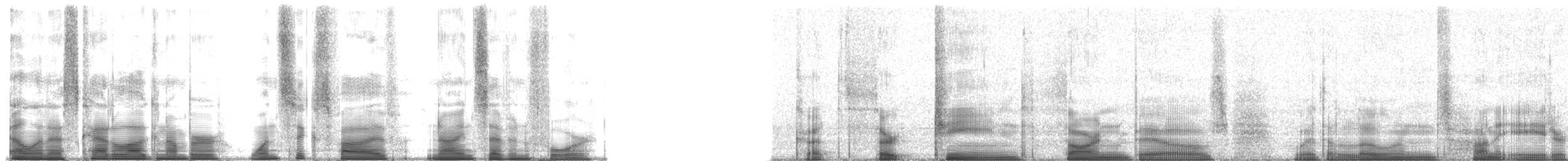 thornbill sp. - ML165974