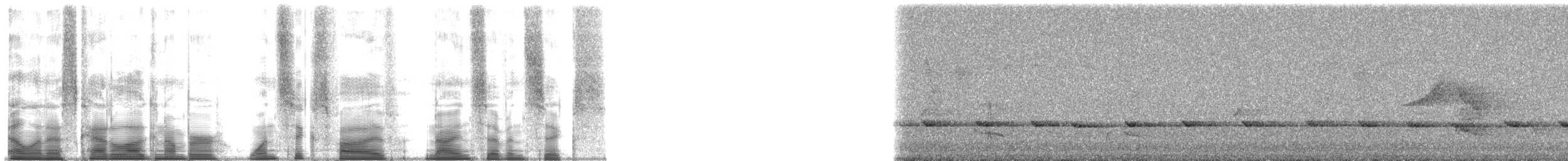 lejsčík žlutý - ML165976