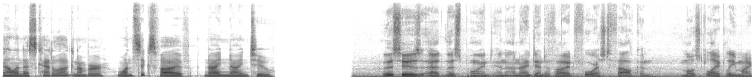 forest-falcon sp. - ML165992