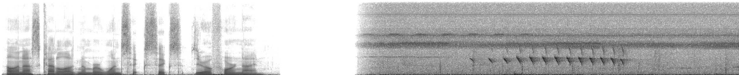 skjeggmaursmett (obscura) - ML166049