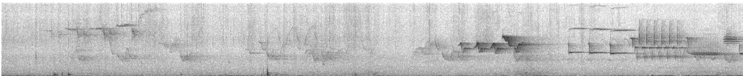 Magnolia Warbler - ML166055941
