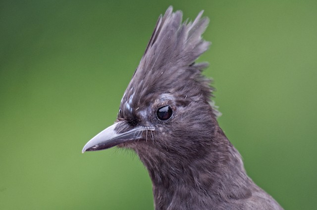 British Columbia, Summer 2019