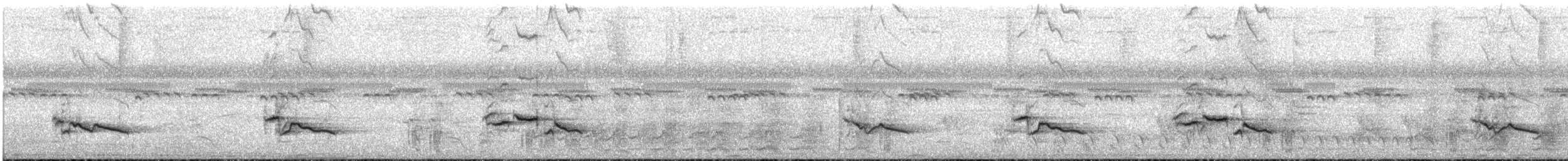 Зернолуск великий - ML166121871
