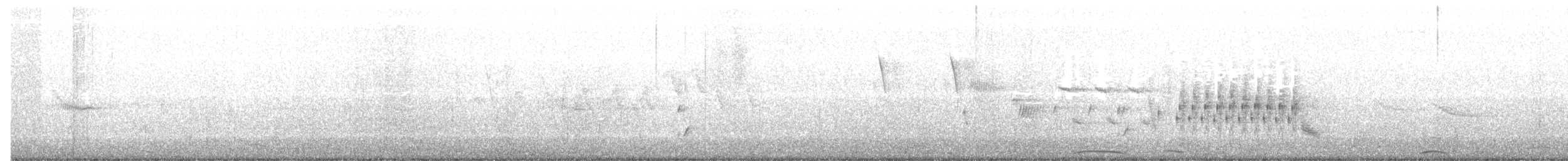 Troglodyte des marais - ML166169941
