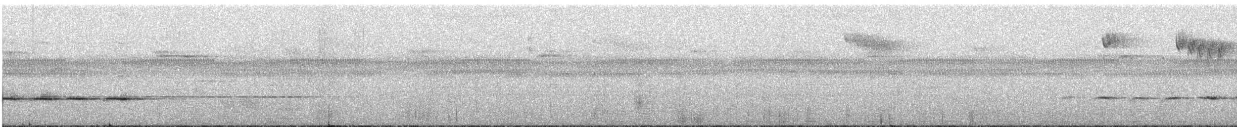 Spotted Jewel-babbler - ML166195701