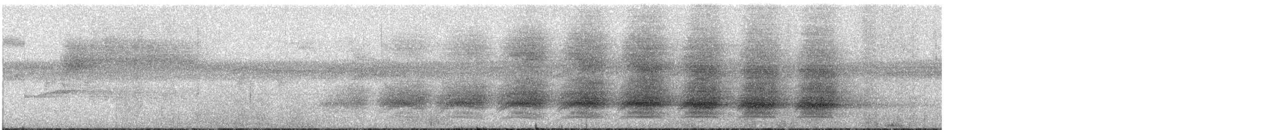 Pracht-Kragenparadiesvogel - ML166196481