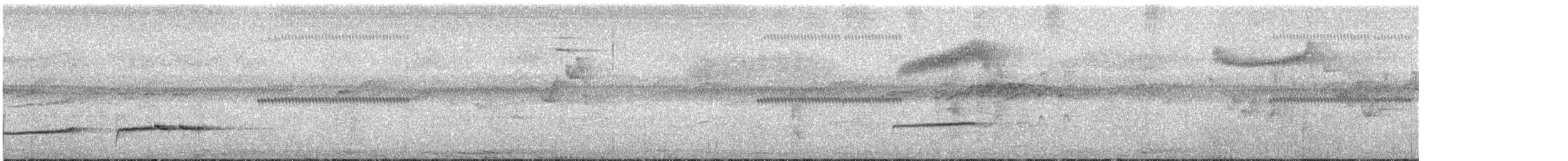 Schieferdickichtschnäpper - ML166196651