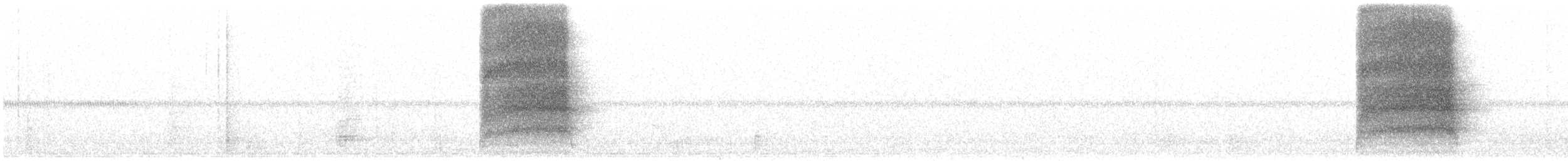 American Barn Owl (American) - ML166199121