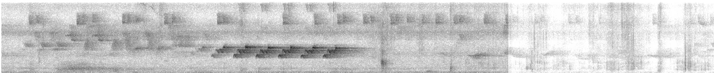 Kentucky Warbler - ML166231231