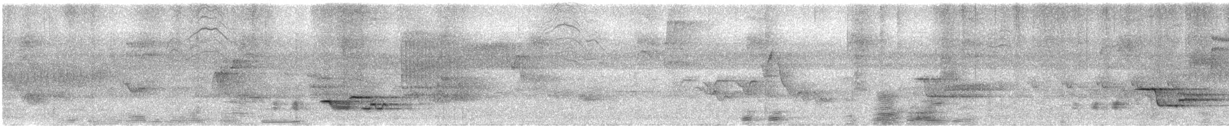 Wood Thrush - ML166231281