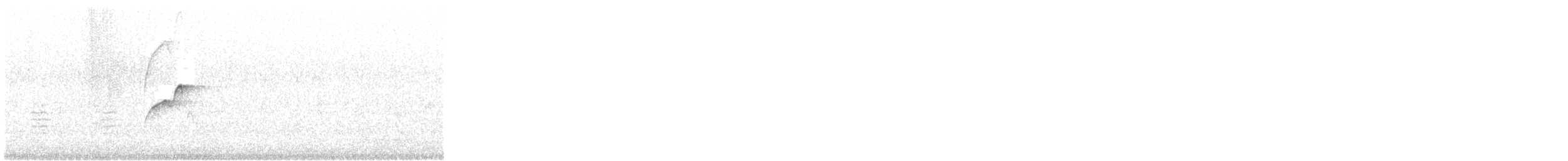 Batı Amerika Sinekkapanı (occidentalis/hellmayri) - ML166232411