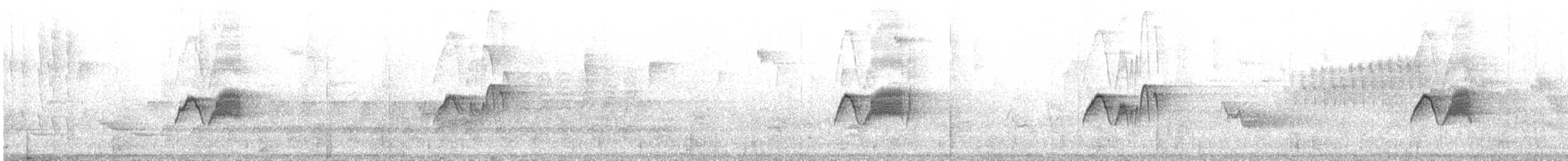 Светлобрюхий фиби - ML166287401