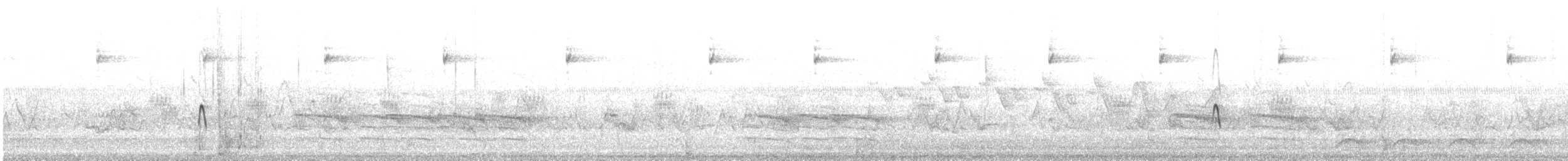 Светлобрюхий фиби - ML166287431