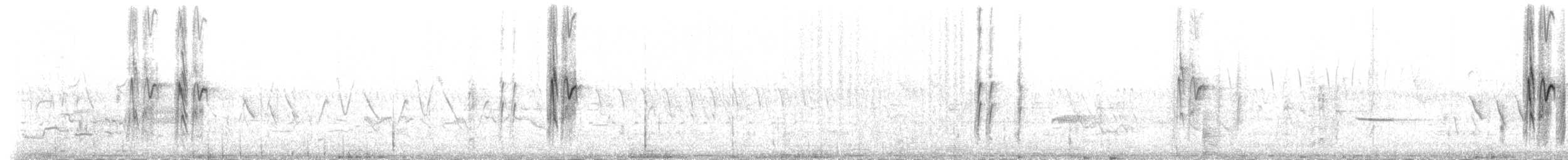 Hirondelle rustique (erythrogaster) - ML166291041