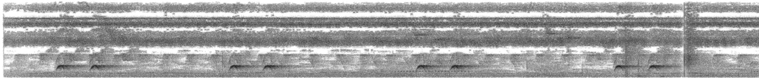 Western Hooded Pitta (Chestnut-crowned) - ML166312851