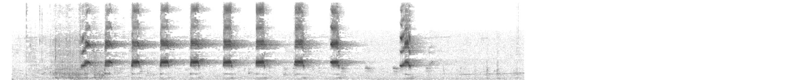 ネッタイバン - ML166314661