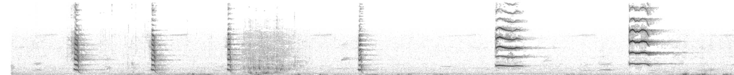 ネッタイバン - ML166314691