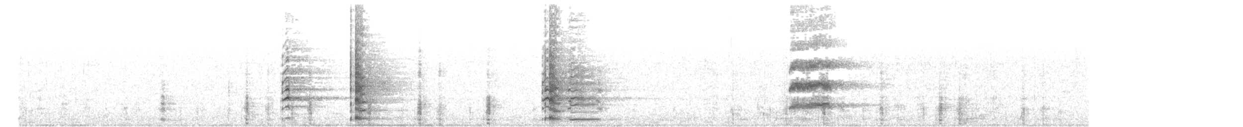 オオバン - ML166314721