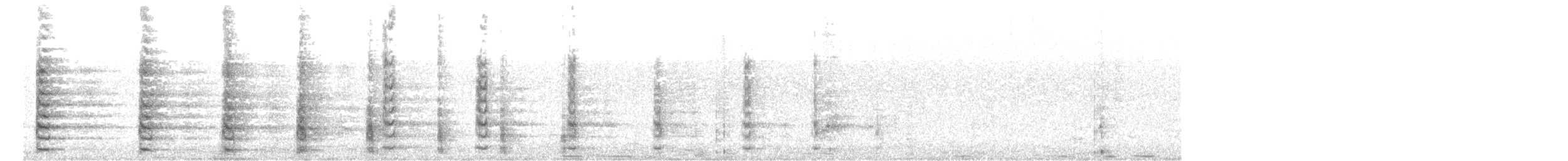 Kopetazuri arrunta - ML166314731