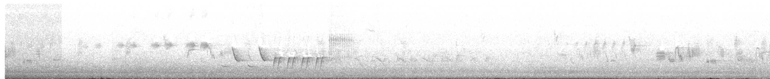 Соловьиная широкохвостка - ML166335661