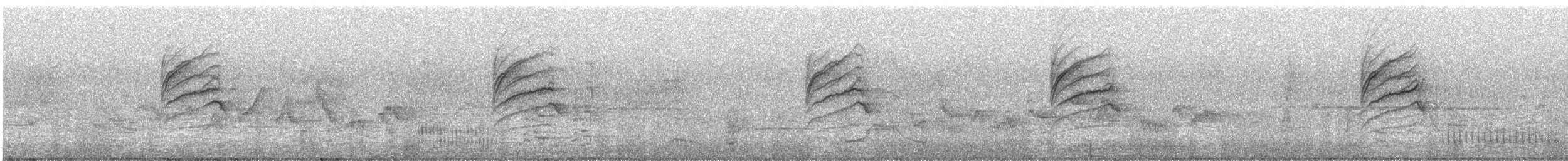 マツノキヒワ - ML166344881