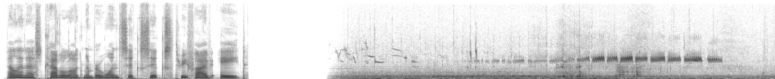 ヘラシギ - ML166358