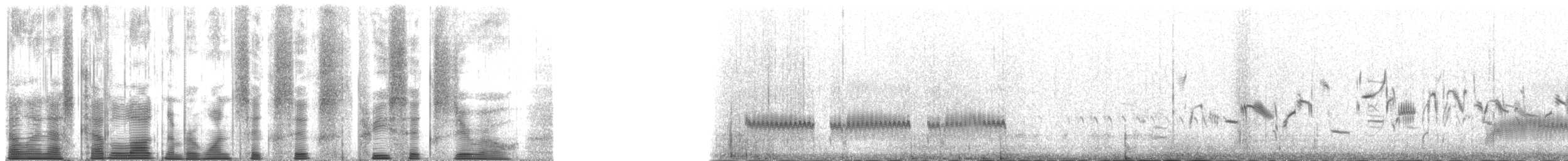 ヘラシギ - ML166360