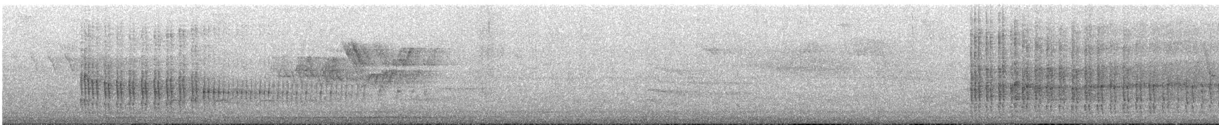 Опоясанный зимородок - ML166363351