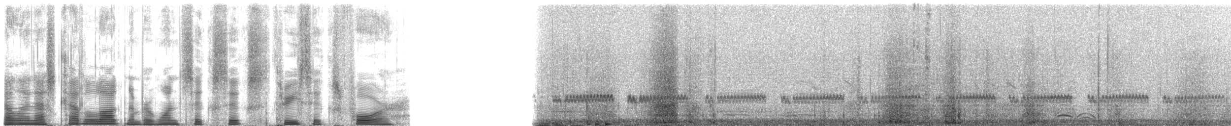 ヘラシギ - ML166364