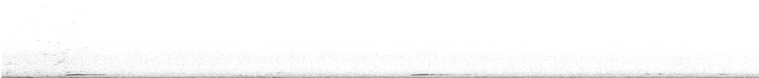 アメリカコノハズク - ML166364391