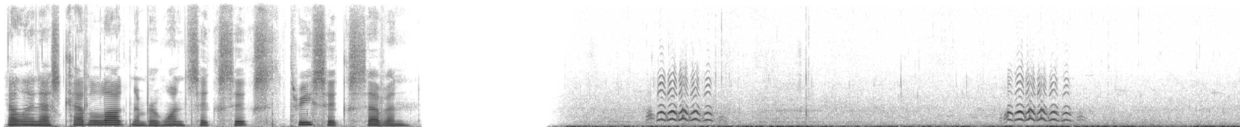 Plongeon à bec blanc - ML166367