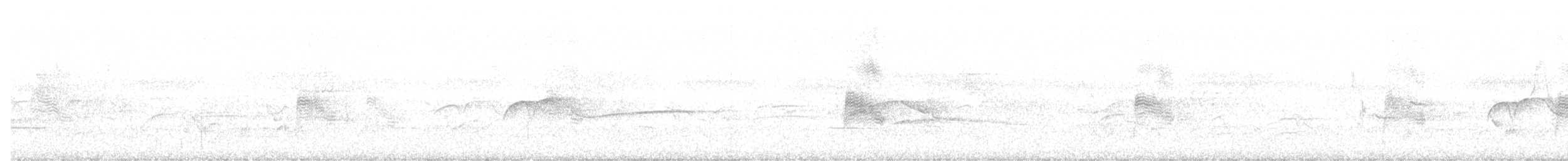 Common Nighthawk - ML166368721