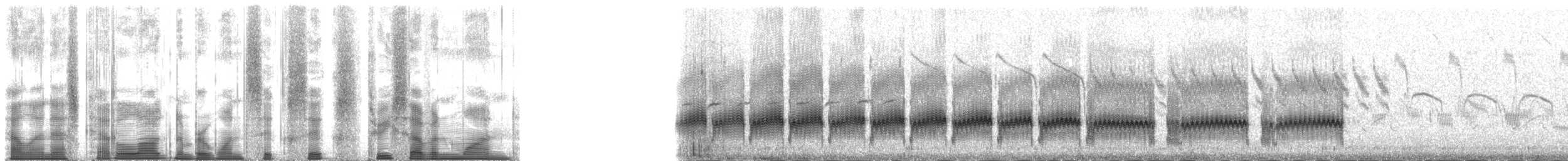 ヘラシギ - ML166371