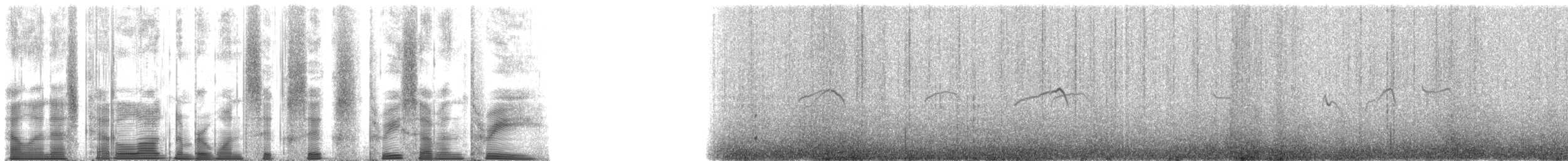 ヘラシギ - ML166373