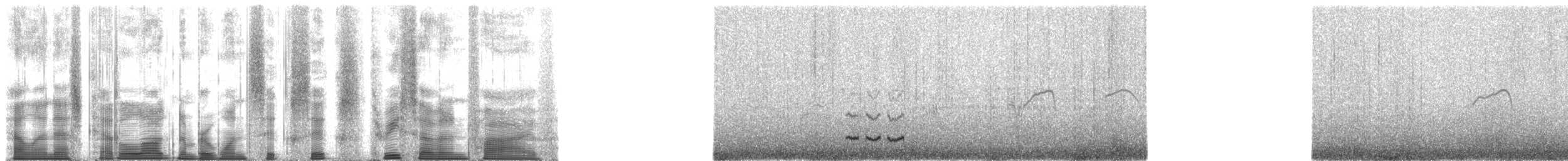 ヘラシギ - ML166375