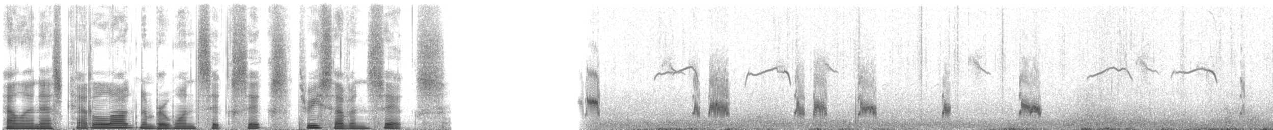Kaşık Gagalı Kumkuşu - ML166376