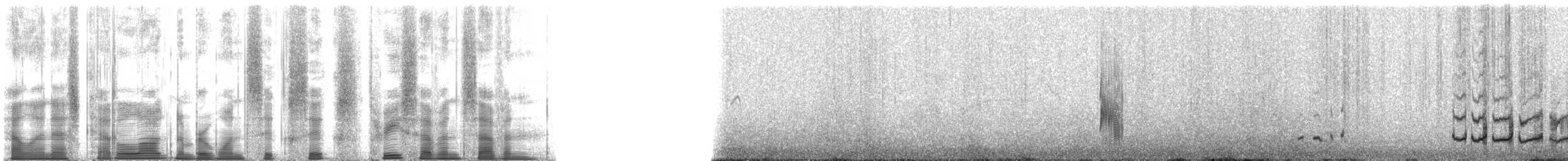 ヘラシギ - ML166377