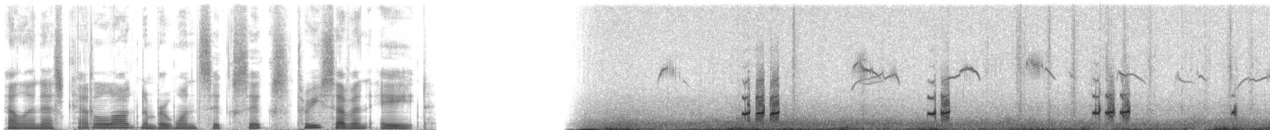 Kaşık Gagalı Kumkuşu - ML166378