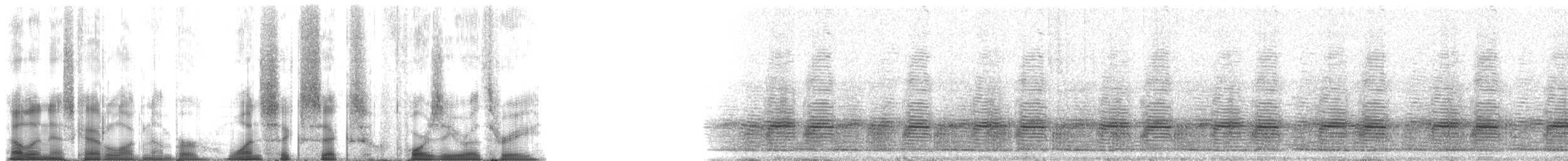 Green Treefrog - ML166403