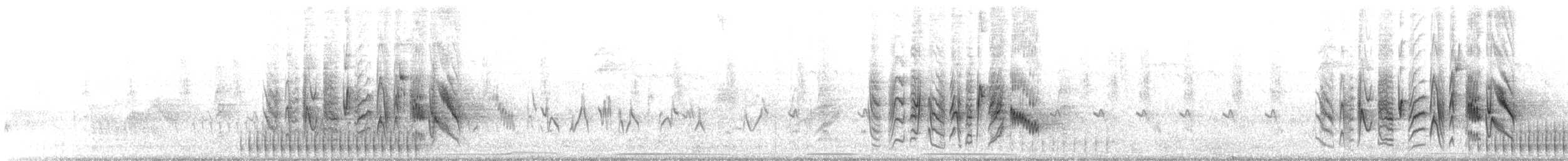 Віреон короткокрилий (підвид pusillus) - ML166406771